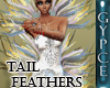 @ Tail Feather -Showgirl