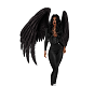 YM - FALLEN ANGEL WINGS