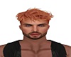 DC Ginger Hair