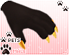 [Pets] Dei | claws
