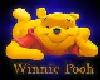 Pooh Pic in Frame