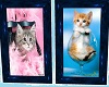 Kittens Picture