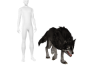 Matth WolfWalk