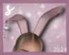 𝓼* bunny ears blush