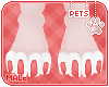 [Pets] Valerie | paws