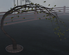 Tree Animated
