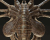 Facehugger Furniture