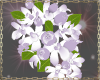 *SP*Bridal Bouquet