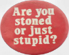are you stoned or stupid