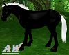Silver Black Horse