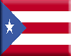 Puerto Rico Flag