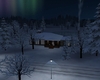 Winter Escape