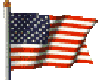USA Flag gif