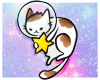 Space cat 2