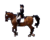 Animated Horse 51