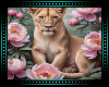 🌺 Lioness Background