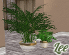 BH~Plants V1