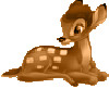 bambi badge