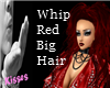 Whip's Big Hair