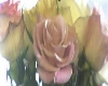 A Wonderful Rose 4 U