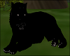 Big  Black Cat