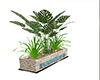 Plant potted