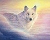 White wolf round poster2