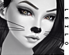 ! L! Kitty Skin . ML