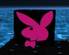 Playboy photo Cube Pink