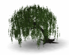 animated willow tree