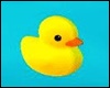 *Y* Duckie