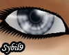 [MFO] Gray Eyes