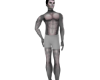 Grey Furry Skin