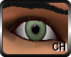 [CH] Green/Grey Eyes (M)