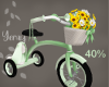 Y: Princess Tricycle 40%
