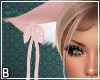 Kitty Ears Pink Anim
