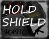 [M]Shield Holding Pose