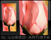 XIV™ Sunset Rose Art 1:2
