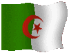 G&B algeria