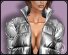 Silver Puffy Coat