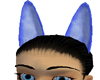 Anubis Ears, Blue Female