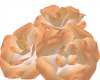 Add-on Roses