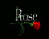 in loving memory alice