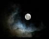 {TFB} November moon