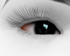 Black Eyes¹