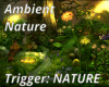 Ambient Nature Sound