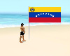 Bandera *Venezuela*