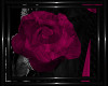 !T! Gothic | Roses P