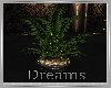 New Plant