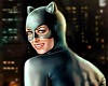 CatWoman/Poster